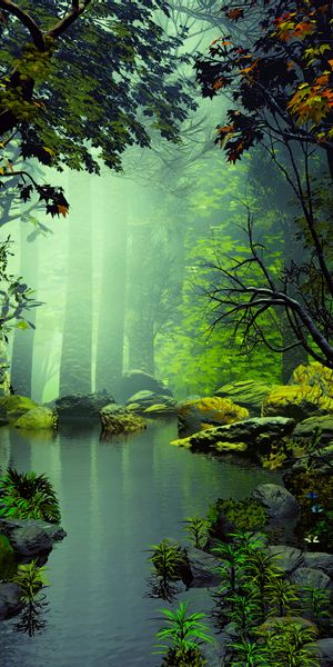 Tranquil Forest Lake Surrounded by Mist and Stones