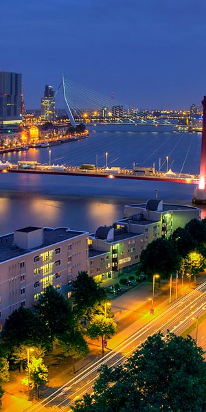 Captivating Rotterdam Cityscape at Night - Perfect Phone Wallpaper