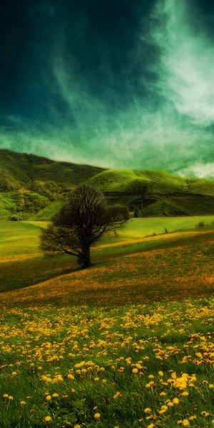 Breathtaking Sci-Fi Landscape: Green Fields Under Cosmic Skies