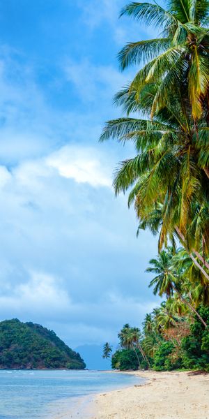 Beautiful Tropical Beach with Palm Trees in the Philippines