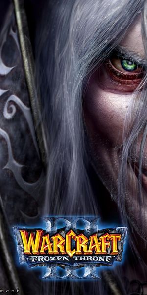 Intense Warcraft phone wallpaper showcasing a powerful character from Frozen Throne
