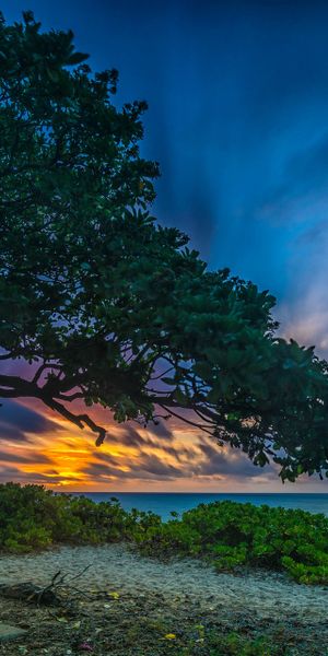 Phone wallpaper: Sunset, Horizon, Lake, Tree, Bench, Tropical, Man Made free download