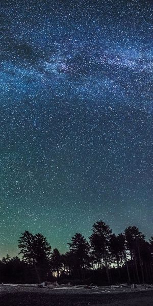 Breathtaking Galaxy Landscape with Stars for Mobile Wallpaper