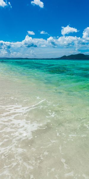 Breathtaking Tropical Beach Scene with Turquoise Ocean