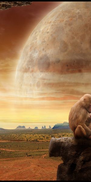 Phone wallpaper: Animals, Monkeys, Art free download