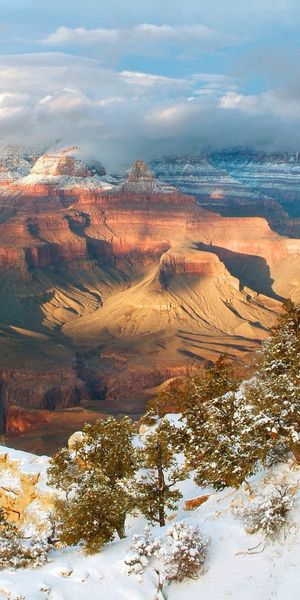 Phone wallpaper: Arizona, Mountains, Canyons, Snow, Height, Winter, Trees, Nature free download