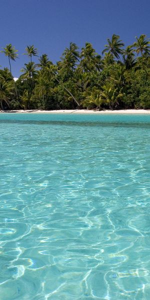 Breathtaking Tropical Beach with Crystal Clear Water