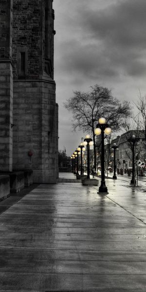 Evening City Street with Lanterns in HDR Black and White