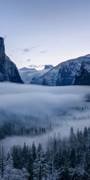 Phone wallpaper: Snowbound, Snow, Rocks, Trees, Snow Covered, Mountains, Nature free download