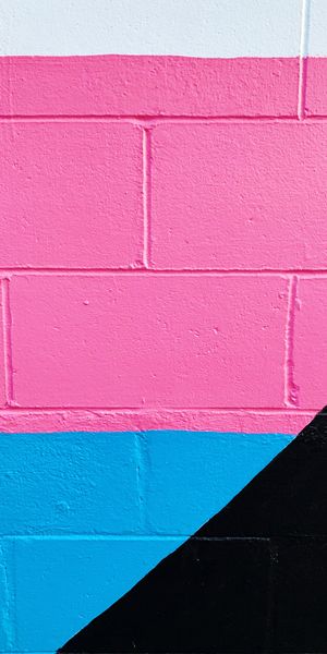 Phone wallpaper: Multicolored, Motley, Wall, Paint, Pink, Brick, Textures, Texture free download
