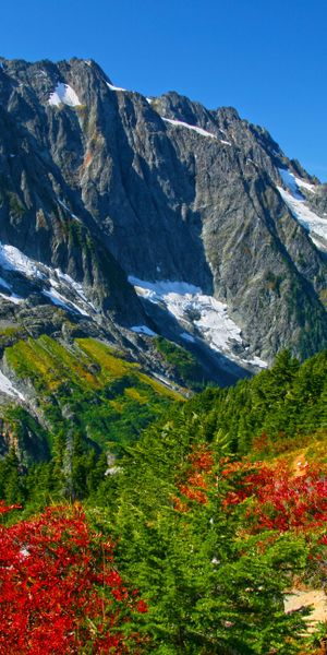 Phone wallpaper: Landscape, Mountains, Mountain, Tree, Fall, Earth free download