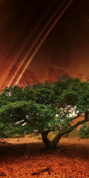 Breathtaking mobile wallpaper of a tree against a cosmic landscape