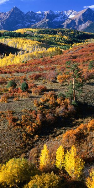 Phone wallpaper: Mountains, Mountain, Fall, Earth free download