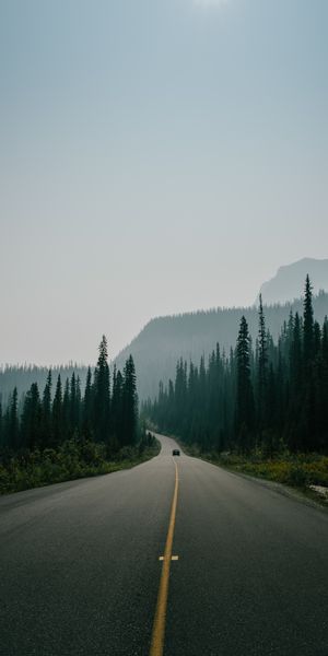Breathtaking Scenic Mountain Road Surrounded by Fog
