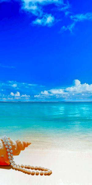Tropical Beach Scene with Shell and Pearls - Perfect Summer Wallpaper