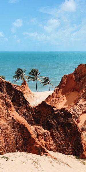 Breathtaking Summer Beach Landscape with Palms and Rocks