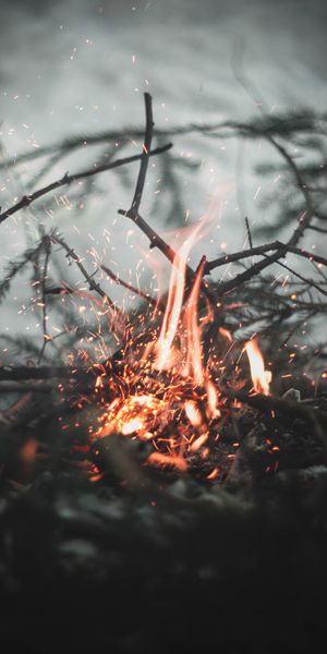 Dazzling Bonfire Sparks Captured in a Smooth Blur