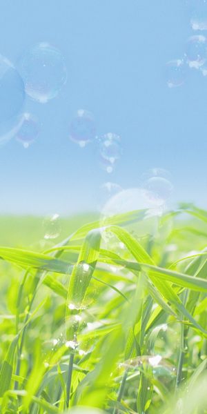 Captivating 4K phone wallpaper featuring lush grass and floating bubbles