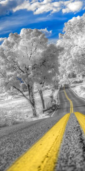 Beautiful winter road wallpaper featuring trees, clouds, and a clear sky