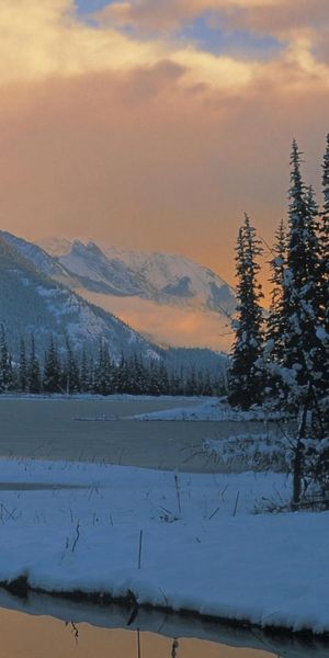 Phone wallpaper: Landscape, Winter, Snow, Mountain, Tree, Earth free download