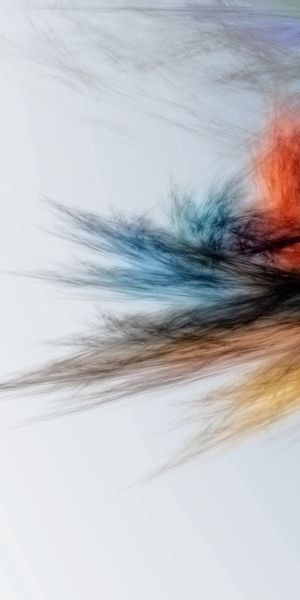 Multicolored Abstract Feather Design for Your Mobile