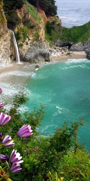 Ultra HD Mobile Wallpaper: Serene Beach with Waterfall and Vibrant Flora