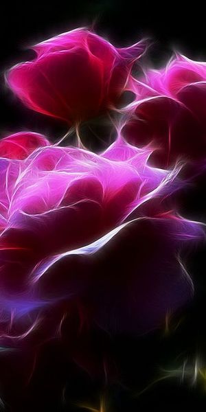 Captivating Fractal Pink Roses for Phone Wallpaper