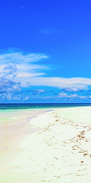 Phone wallpaper: Nature, Sky, Sun, Beach, Sand, Horizon, Ocean, Earth, Tropical, Cloud, Palm Tree fr