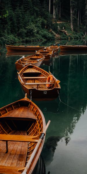 Wooden Boats Docked on a Calm Lake Amidst Lush Forest