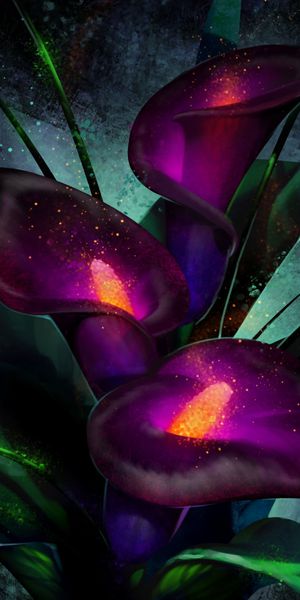 Phone wallpaper: Bouquet, Calla, White Breaker, Art free download