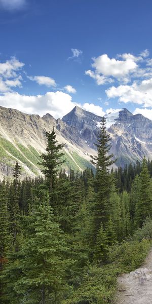 Phone wallpaper: Nature, Mountains, Mountain, Forest, Earth, Path free download