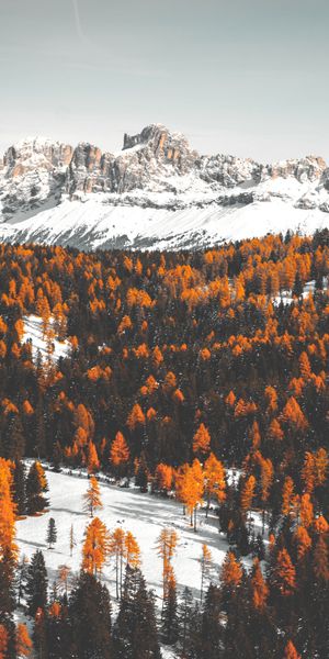 Free Mobile Wallpaper of Snowy Mountains and Autumn Trees in Winter Landscape