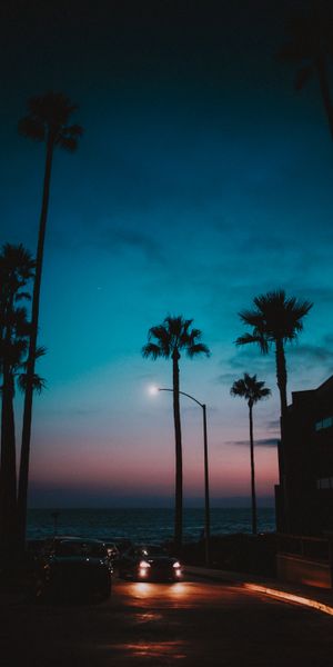 Tropical Sunset with Palms and Cars: A Serene Evening Scene