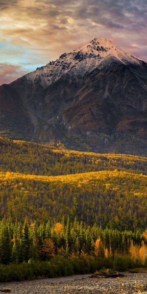 Phone wallpaper: Landscape, Nature, Mountains, Usa, Mountain, Forest, Fall, Earth, Alaska free downl