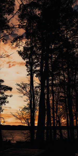 Breathtaking Sunset Silhouette with Trees and Pier by the Sea