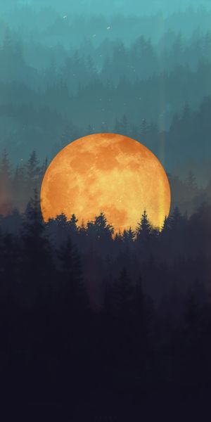 Moonlit Forest - A Captivating Mobile Wallpaper