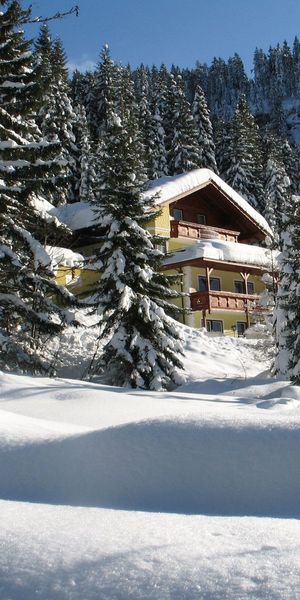 Charming iPhone wallpaper featuring a snow-covered hotel amidst conifer trees