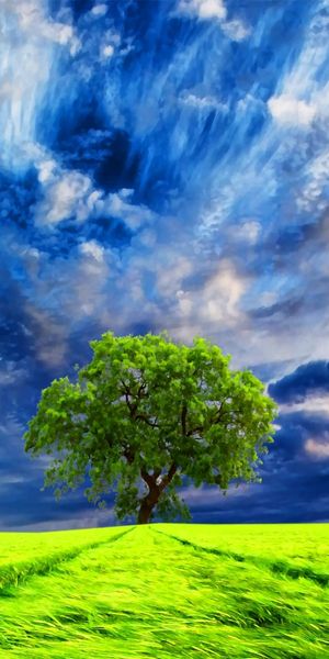 Serene mobile wallpaper featuring a lone tree in a lush green field
