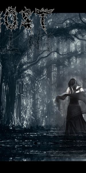 Explore the Enigmatic Dark Forest iPhone Wallpaper for a Unique Look