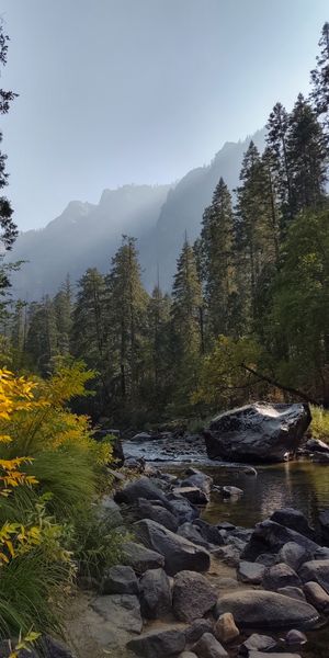 Mountain Landscape with Tranquil River and Lush Trees