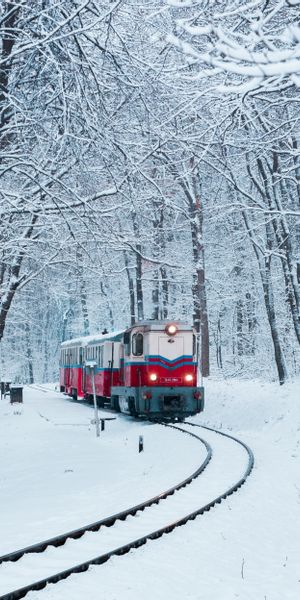 Snowy Train in a Winter Forest - Perfect Phone Wallpaper