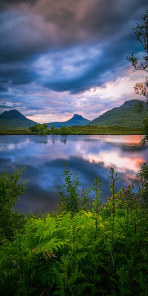 Breathtaking Nature Scene with Lake and Ferns