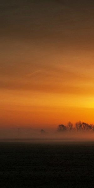 Beautiful Sunset Landscape with a Lone Tree