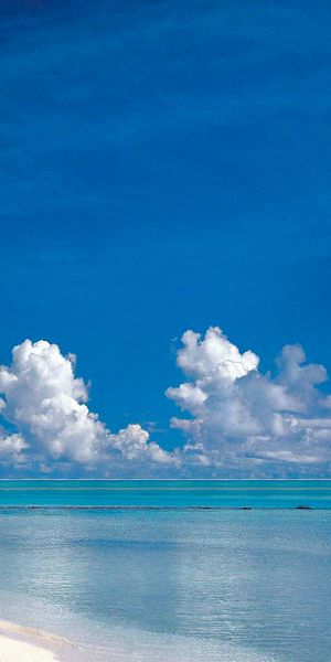 Tropical Beach with Turquoise Ocean and Palm Trees