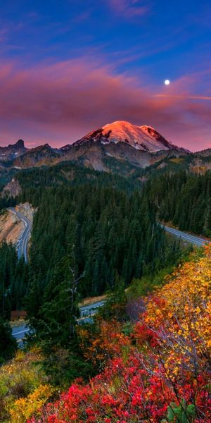 Mount Rainier Sunset Over Colorful Autumn Forest
