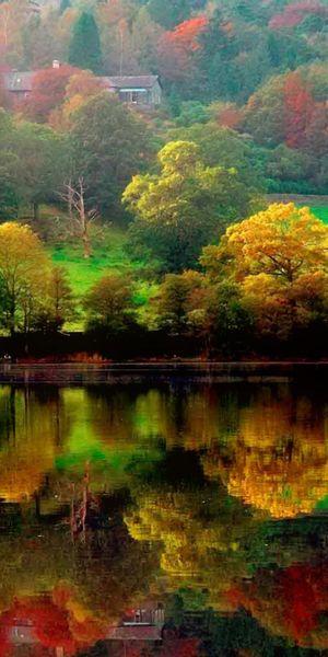 Autumn Reflection: House by the Serene Lake