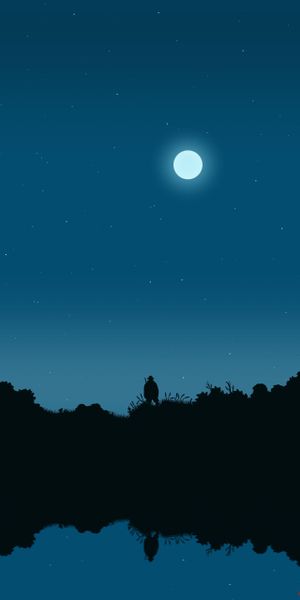 Moonlit Night: Fisherman Silhouette Art