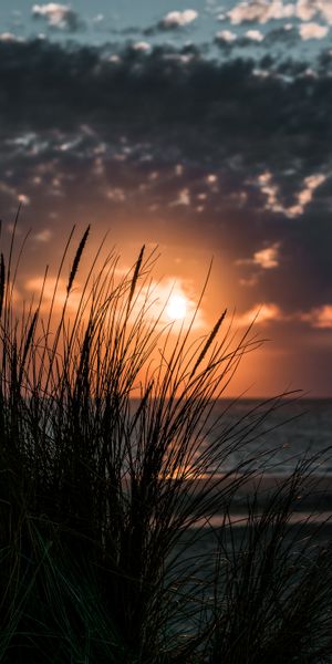 Breathtaking Sunset with Sea View and Grass in Foreground