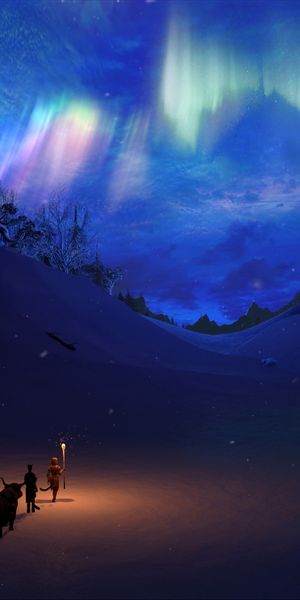 Majestic Aurora Borealis Illuminating Winter Night Sky