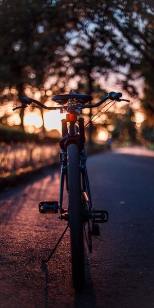 Bicycle at Sunset – A Beautiful Phone Wallpaper